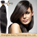 Unprocessed virgin Malaysian cheap 100% hair high quality human hair bulk